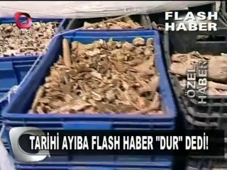 YAVUZ OYMAK MEZARLIK SALDIRI