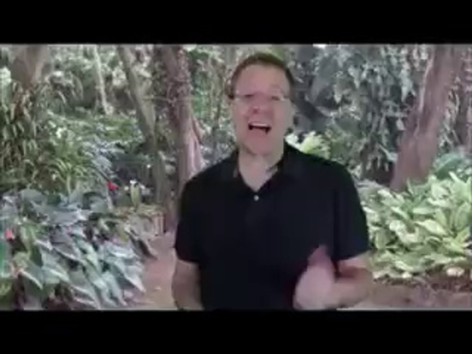 trading strategy  fapturbo 2 system review free