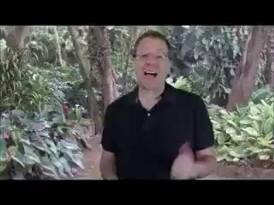 forex mini trading  fapturbo 2 system review free