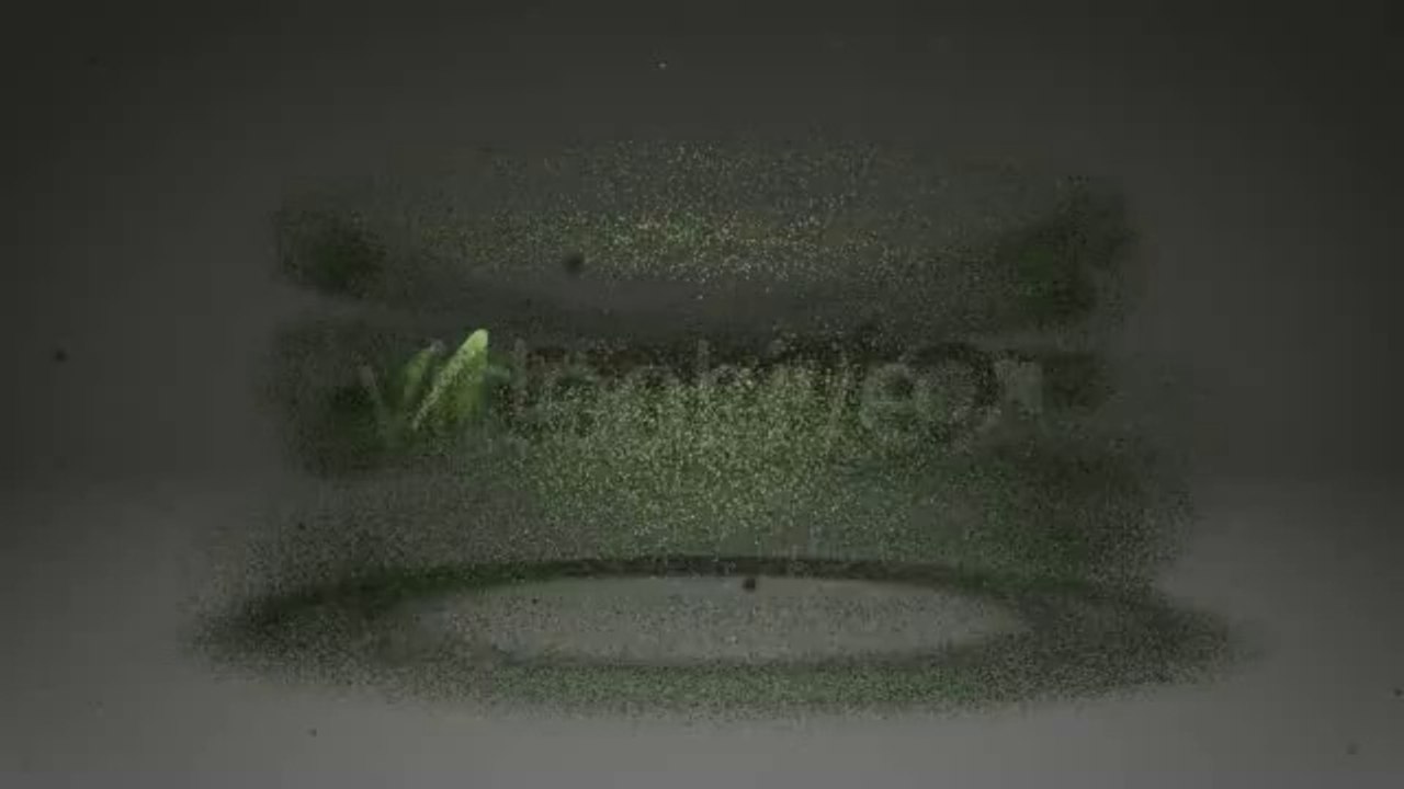 Particle Vortex - Logo Reveal