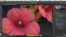 Adobe Photoshop CS6 Lesson-2:Adobe Photoshop Cs6 Essential