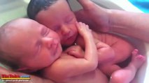 İkiz bebeklerin ilk banyosu