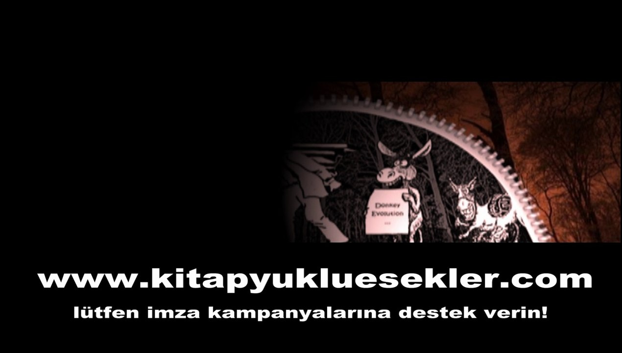 529 İDAM