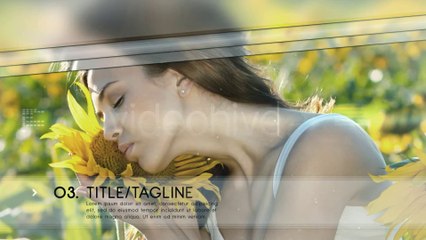 Glass Gallery - After Effects Template