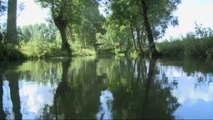 Le Marais poitevin de nouveau Parc naturel régional (Vendée)