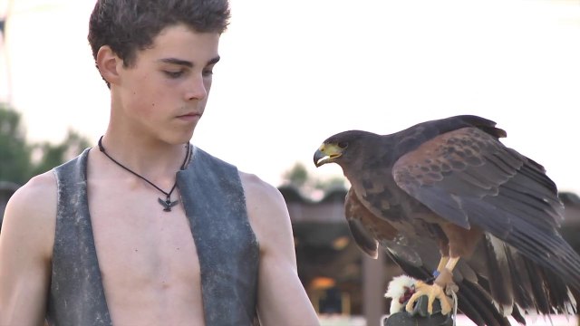 LANGUEDOC ROUSSILLON - 2014 - Des crins et des ailes , un établissement enchanteur en Languedoc –Roussillon !