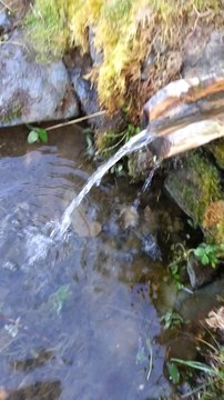 GÜMÜŞHANE ŞİRAN DİLEKYOLU KÖYÜ YAYLASI