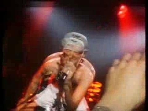 Elmer Food Beat - Daniela (clip)