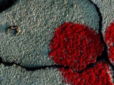 Halit Bilgic Ölüyorum Yar Şiirli Ahmet Emre Boran Yeni 2014