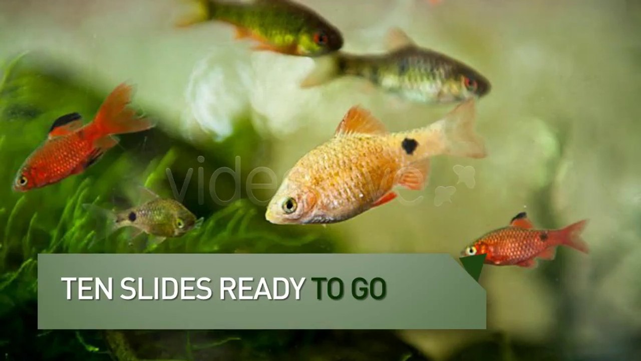 Triangulate Slideshow - After Effects Template