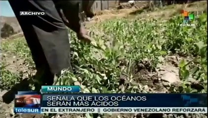 Abrumador, informe de la ONU sobre impacto del cambio climático