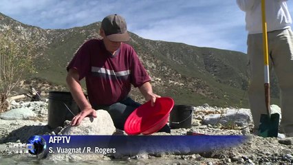 Rekorddürre schürt Goldrausch in Kalifornien