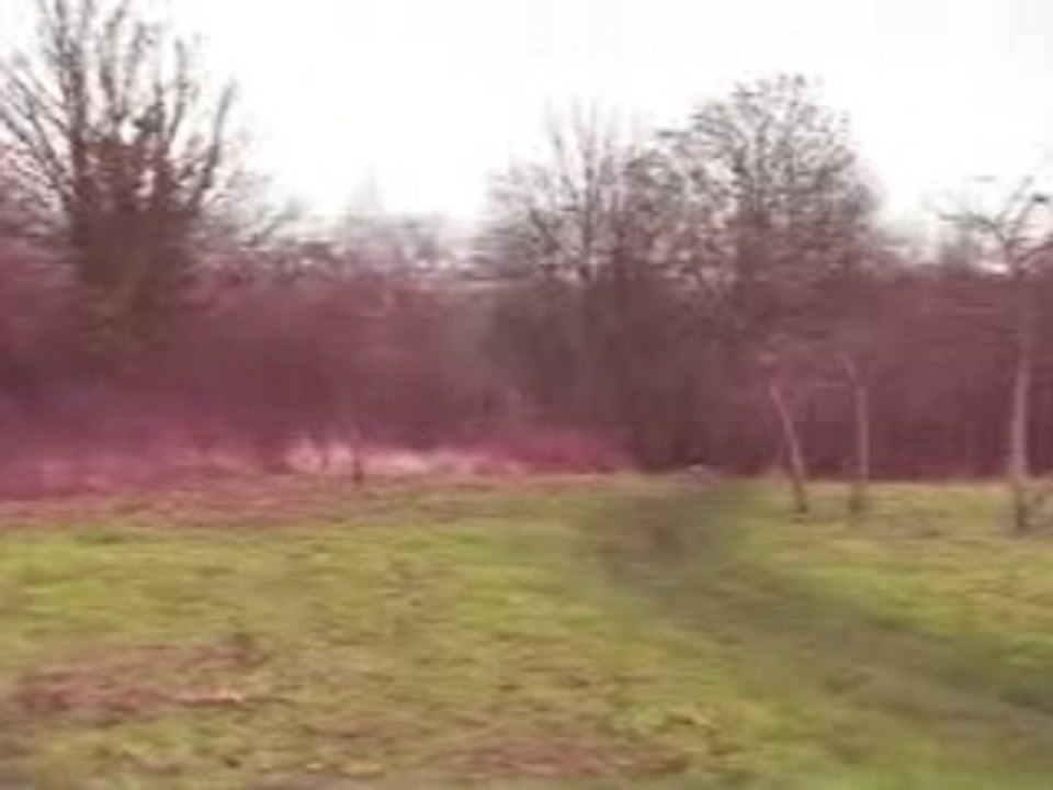 Clip foret nicolas 3