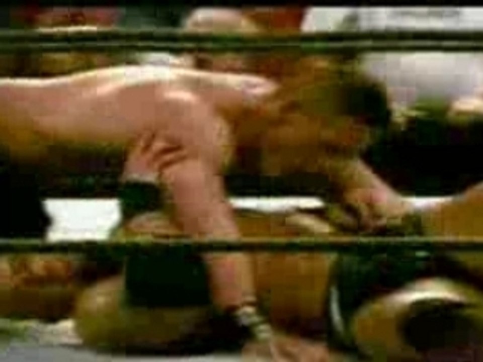 the wwe, champion john cena.