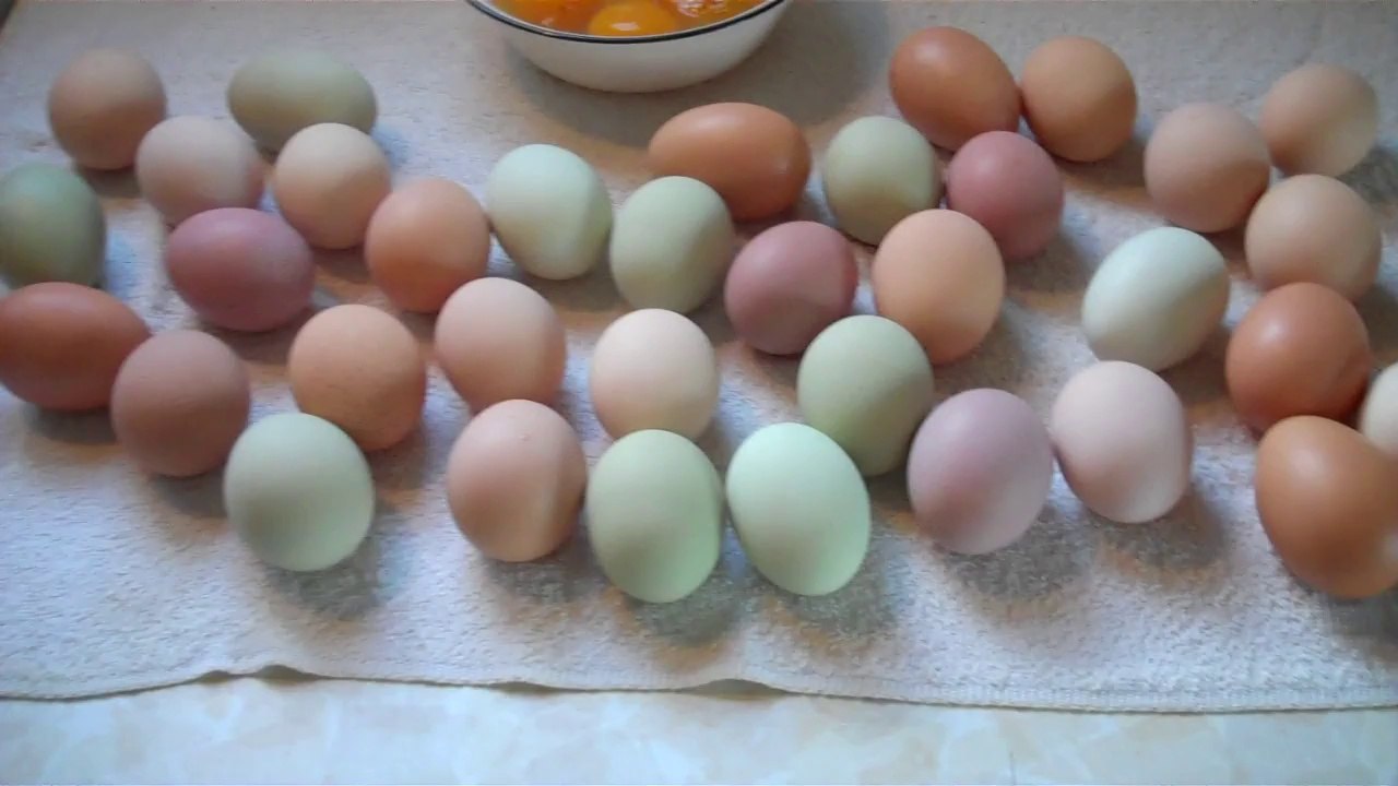 Gathering the Eggs, April 2014