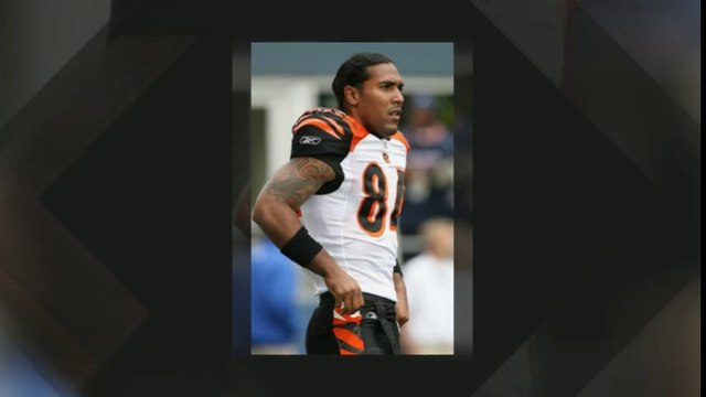 18$ COD NFL Jersey Baltimore Ravens Cheap T. J. Houshmandzadeh home jerseys Wholesale