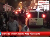 Bursa'da Trafik Cezasına Kızıp Ağaca Çıktı