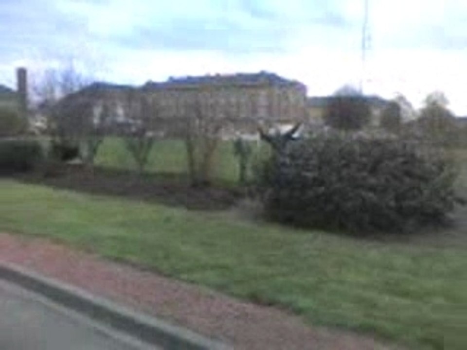 espace vert= prison break
