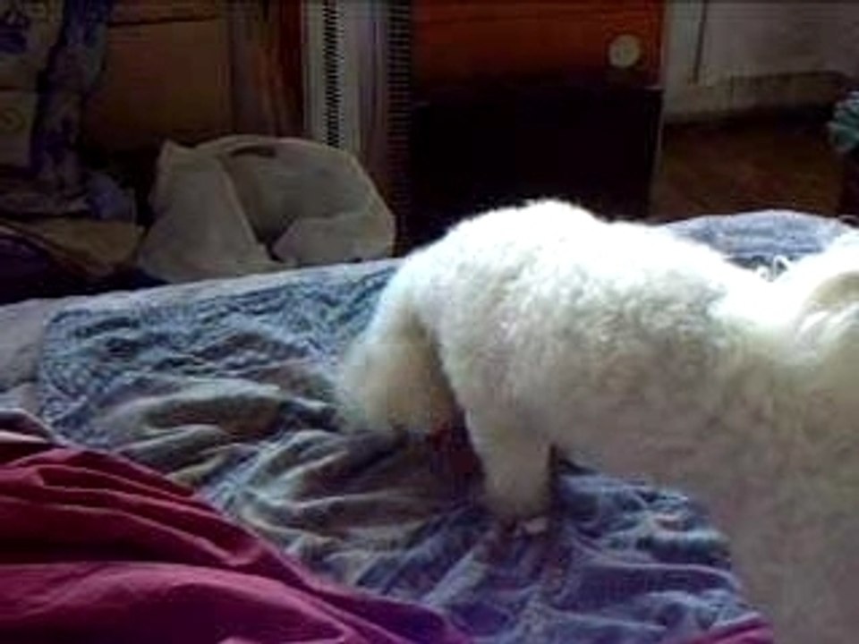 jerry and his gift