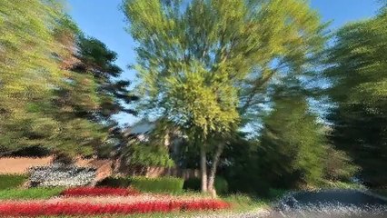 Willow Lake Apartments in Indianapolis, IN - ForRent.com