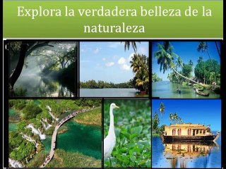 India coloreable - India gira y viajes servicios