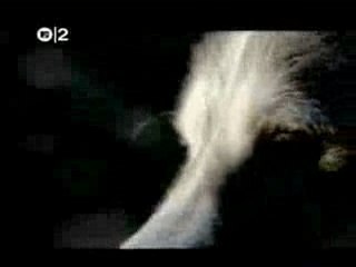 Futureheads - Hounds Of Love