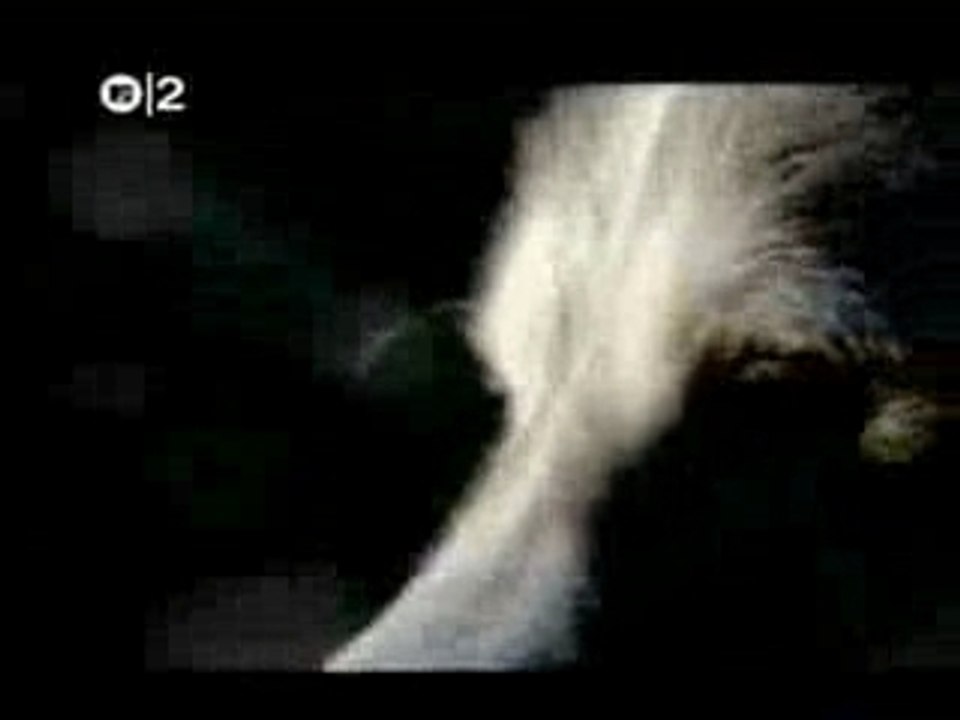 Futureheads - Hounds Of Love