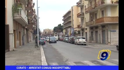 Corato | Arrestati coniugi insospettabili