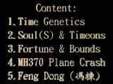 5.Wong's Forensic Mathematics: Why Feng Dong (馮棟) is a victim on Malaysia Airlines MH370 plane crash ? http://ptmae.orgfree.com