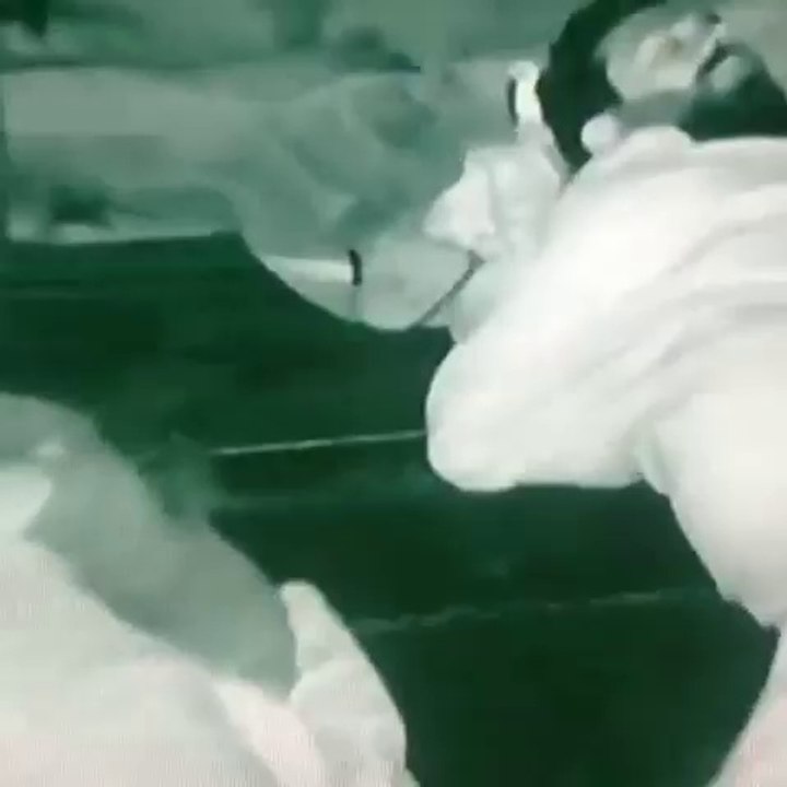Yarışmacılara fare geldi istanbul evden eve nakliyat oyuncu www.istanbulevdenevetasimacilik.web.tr