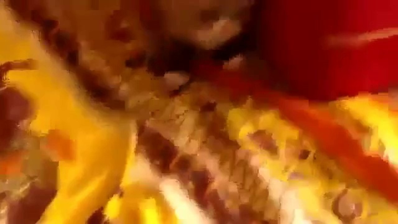 Süpürge Sesinden Korkan Kedi