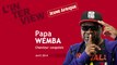 Papa Wemba : 