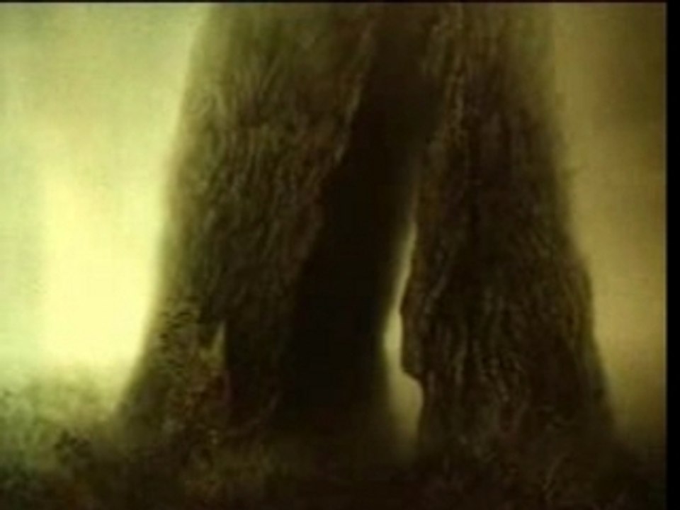 Ежик в тумане