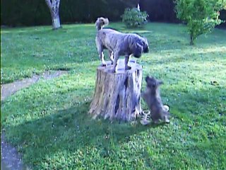 Jaudy et Chanel s'amusent