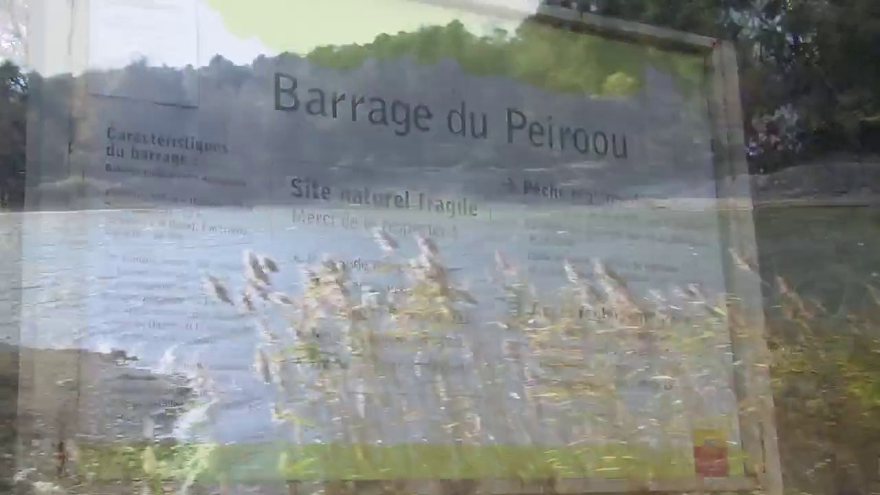 Balade : Un oasis de fraîcheur dans les Alpilles !