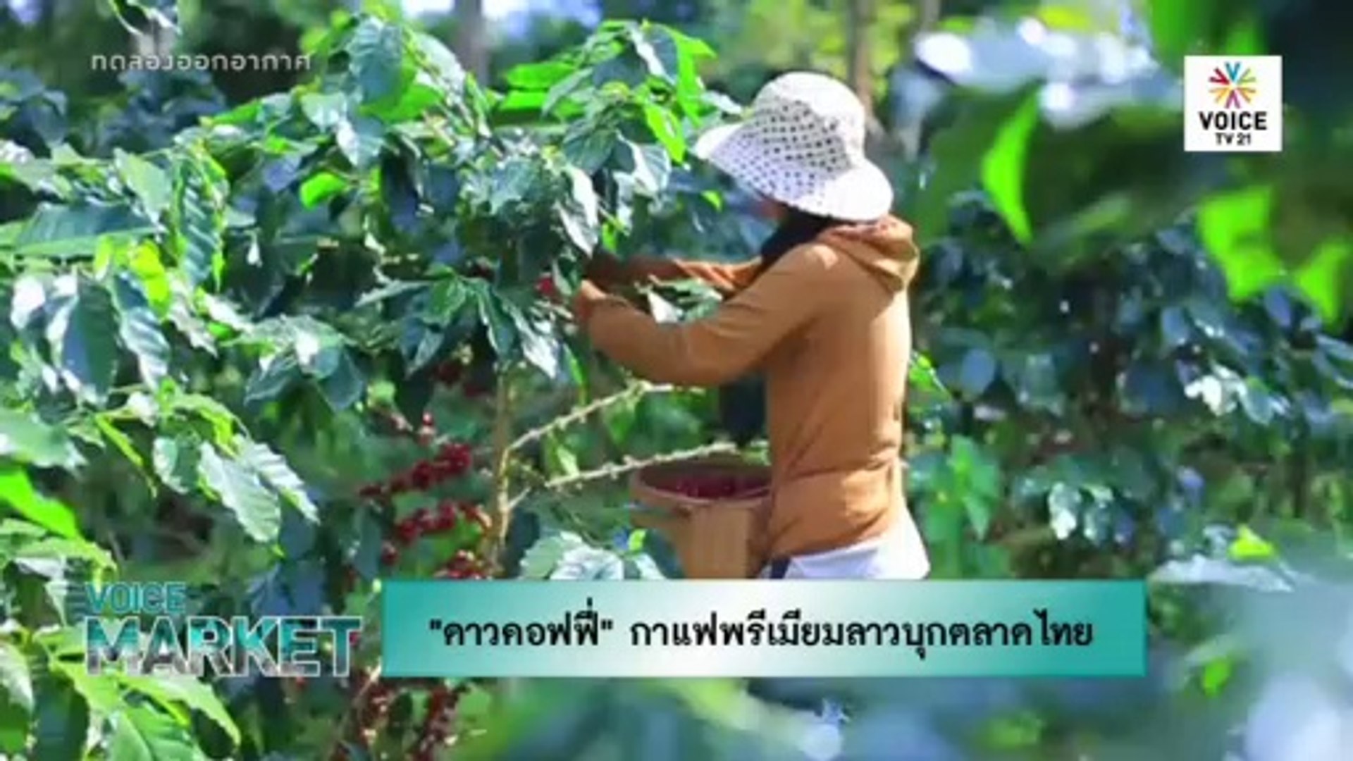 Artificial Intelligence : ทิศทางปัญญาประดิษฐ์