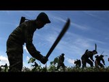 Second officer dies after Bolivia coca squad ambush