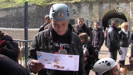 Des œufs de dragon pour les abonnés