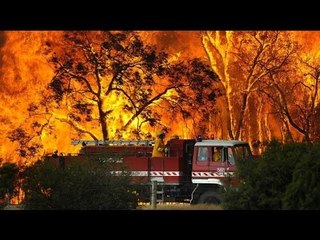 Australian bushfires expected to create rare high-altitude cloud