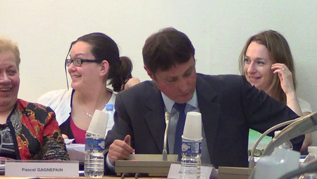 conseil municipal de Villeneuve-le-Roi - 17 avril 2014 - 3ème partie