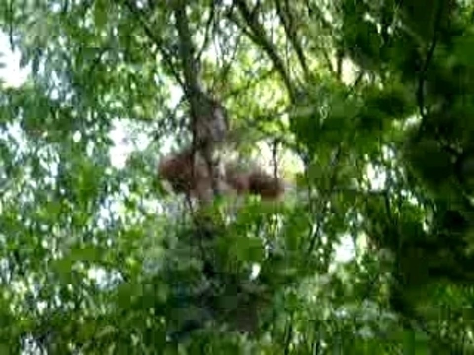 enterrement de Farid le 17.06.06 (2)