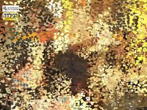 יין | חוג בית לנשים | מופעים לחוגי בית | חוגי בית בחיפה | זיו מנור 0522457843