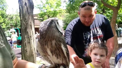 زيارتي إلى حديقة حيوان سنسناتي - أوهايو