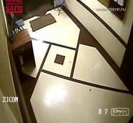 Leopárd támadás a lépcsőházban