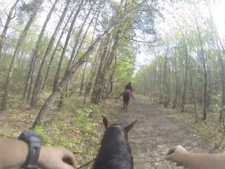 23.04.2014.f.tenebra.neo.etoile