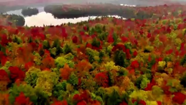 Tek Kelime İle Muhteşem (Tam Ekran İzleyin)