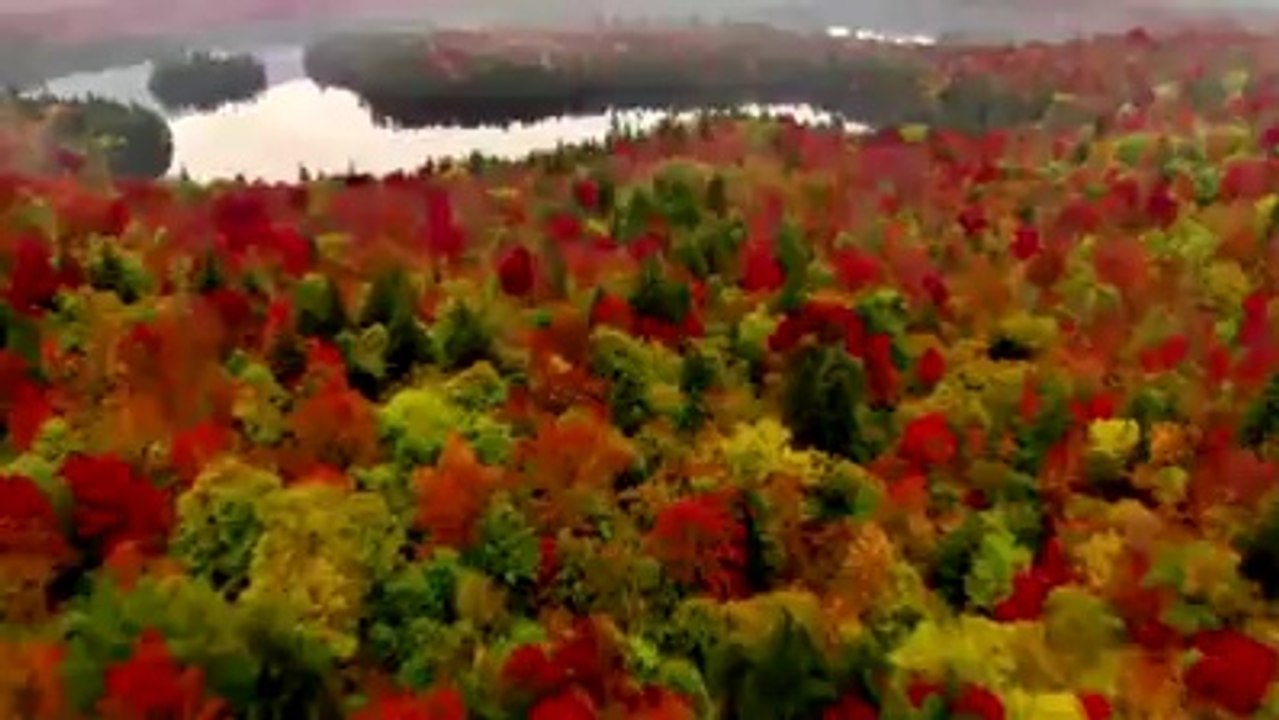 Tek Kelime İle Muhteşem (Tam Ekran İzleyin)