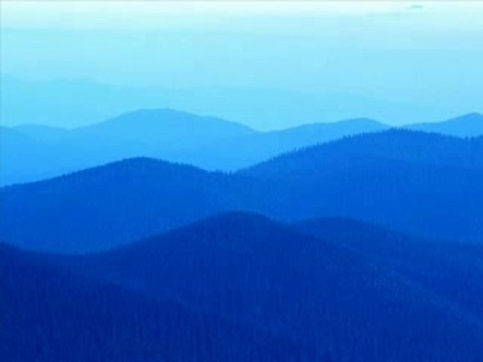 rewrtrtyyrt