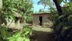 Des fourmis tueuses - Documentaire complet Fr 2013