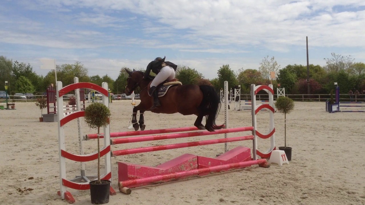 CIR Bressuire Lundi Club 2 Blacky 8 pts
